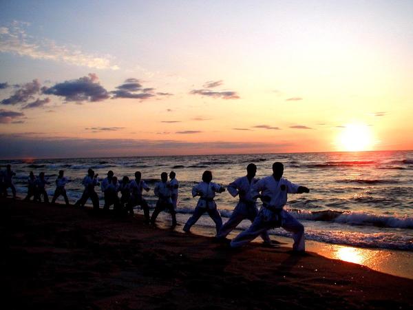 Rising Sun Karate Academy