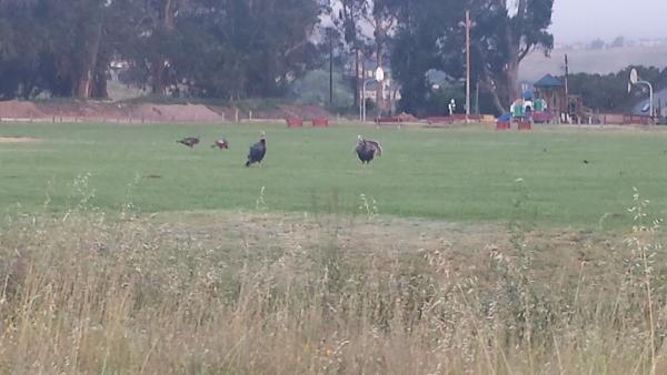 Indian Springs Equestrian Center