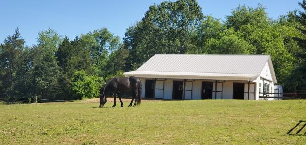 Dragonfly Dreams Horse Farm