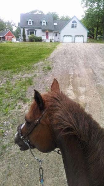 Brown Ridge Farm