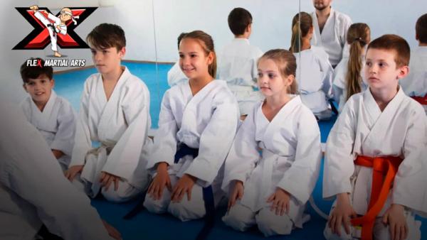 Flex Studio Martial Arts