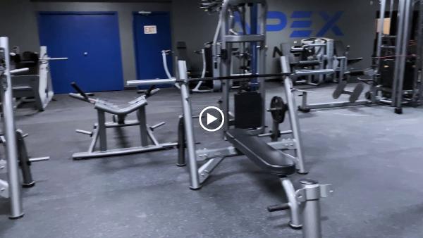 Apex Fitness