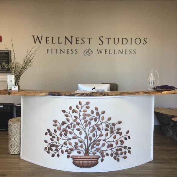 Wellnest Studios- Fitness & Wellness LLC