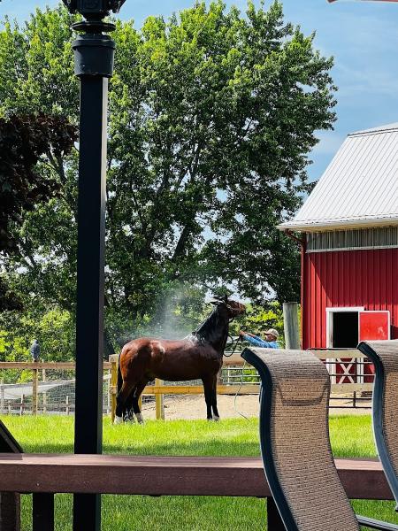 Oxford Hill Farm