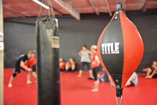 United Elite Mixed Martial Arts and Fitness