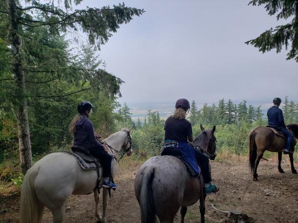 Lang's Horse & Pony Farm