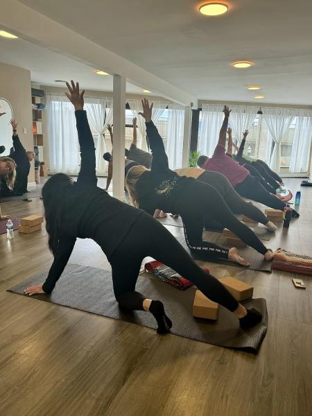 Lotus Bay Yoga Studio