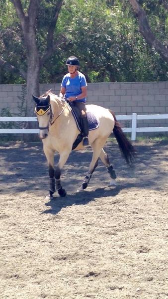 Jane McLoud Dressage