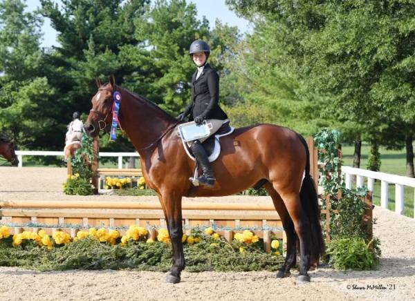 Saddle Lake Equestrian Center