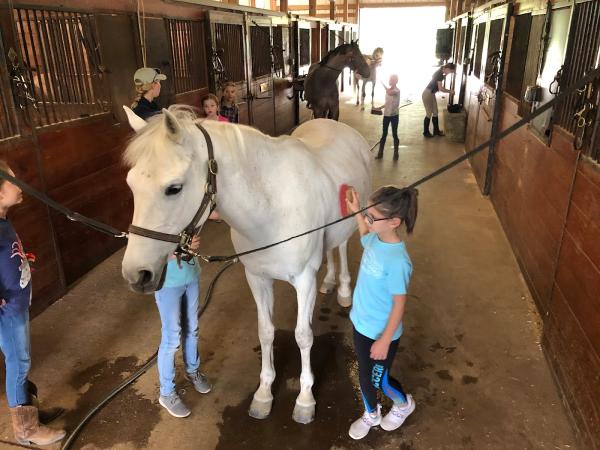 Saddle Lake Equestrian Center