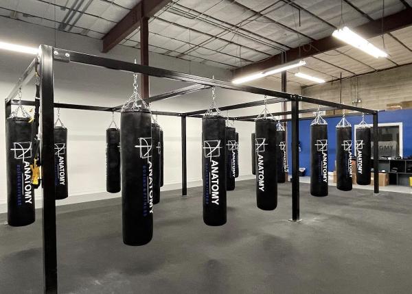 Anatomy Boxing & Fitness