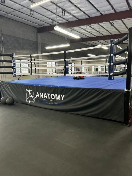 Anatomy Boxing & Fitness