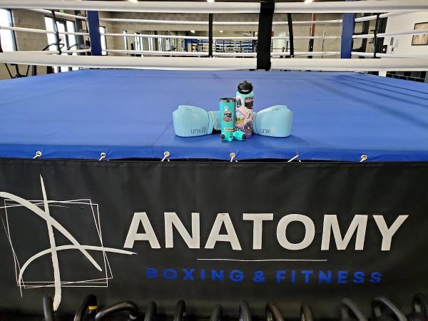 Anatomy Boxing & Fitness