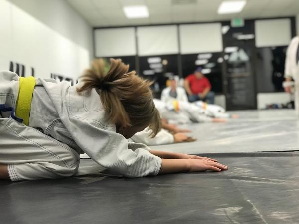 Gracie Jiu-Jitsu South Bend