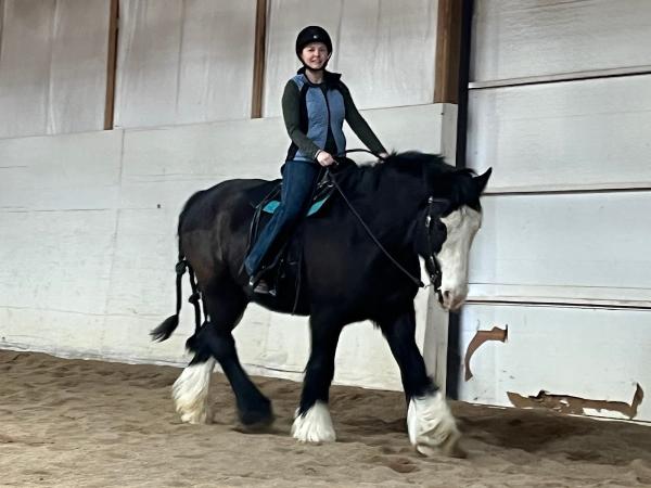 Merry Go Round Stables