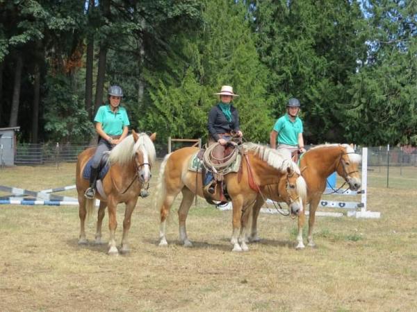 Timepiece Arabians