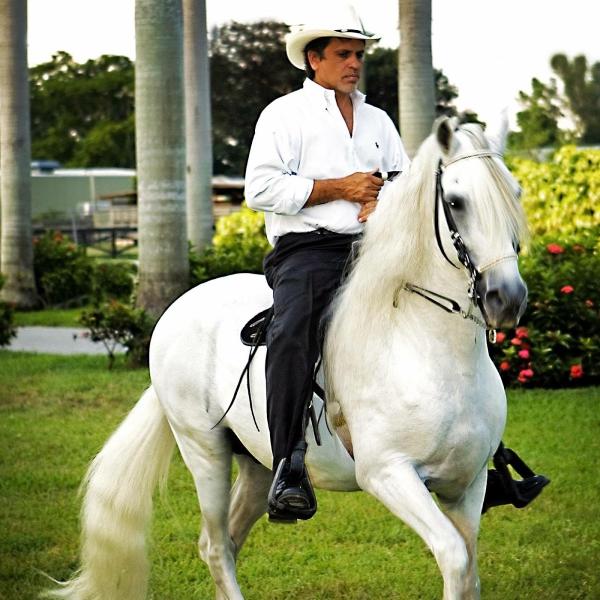 Paso Fino Lessons at Hacienda Guadalupe