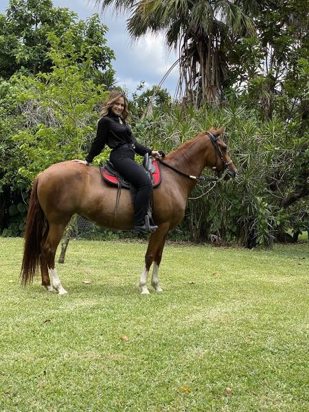 Paso Fino Lessons at Hacienda Guadalupe