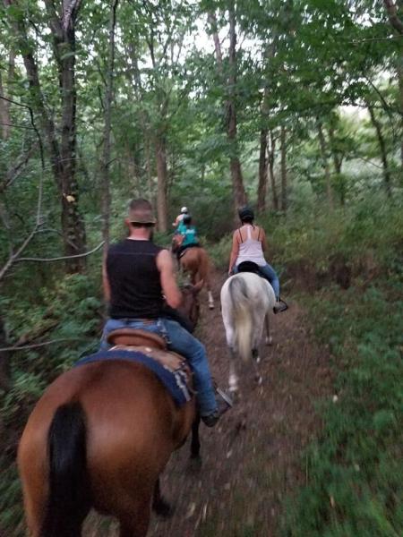 Trimble Equine Center