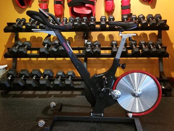 Evolution Fitness