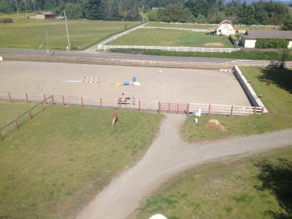 Chateau Rodeo Farm and Horse Stables