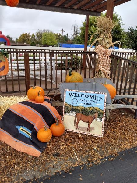 One Step Closer Therapuetic Riding