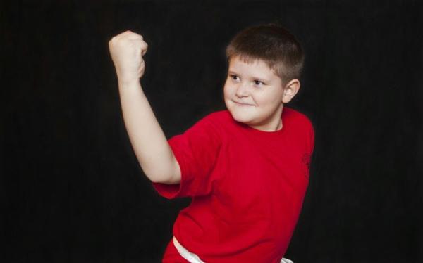 Tiger's Kung Fu Academy