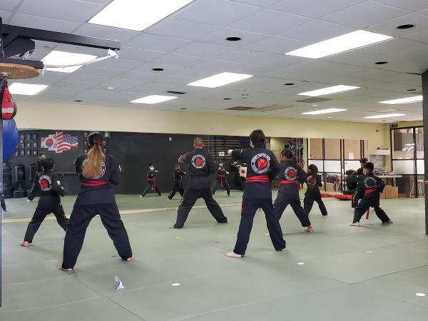 Dynamic Martial Arts Taekwondo & Hapkido