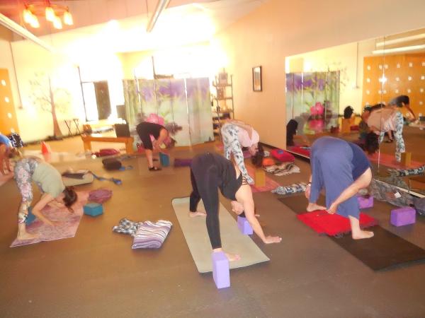 Soulbody Yoga and Wellness