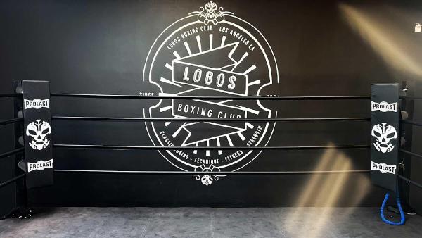 Lobos Boxing Club