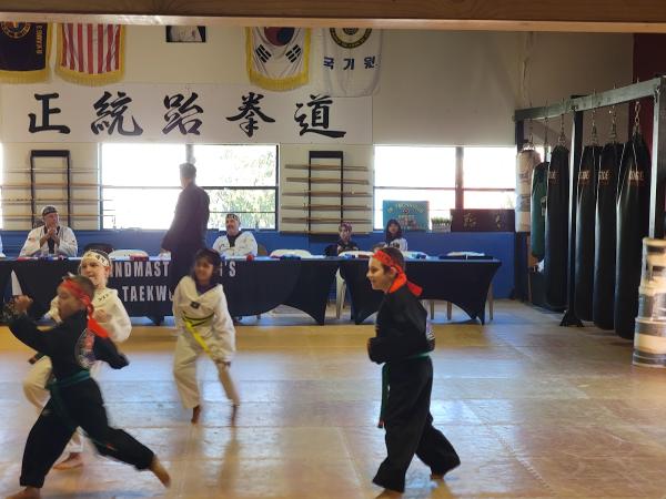 Grandmaster Kangs Taekwondo