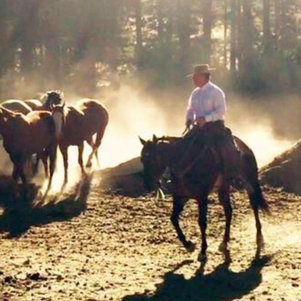 Cody Deering Horsemanship