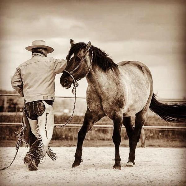 Cody Deering Horsemanship