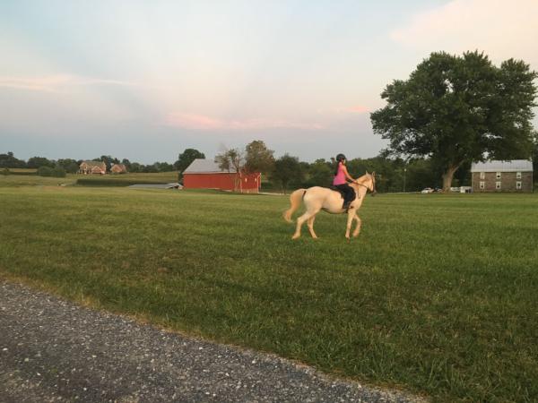 Thunder Mountain Stables