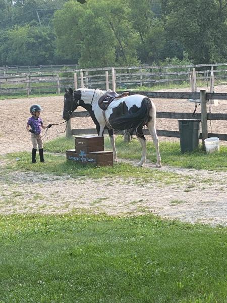 Seven Oaks Farm