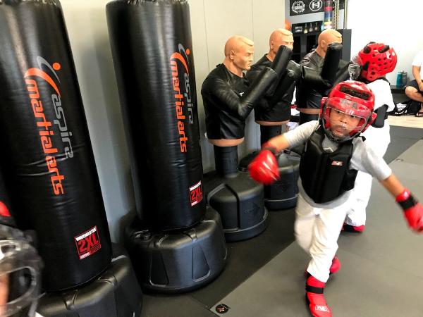 Aspire Martial Arts