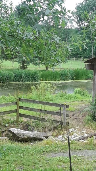 Bond's Forest Farm