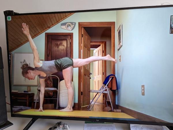 Iyengar Yoga Champaign Urbana