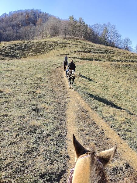 Sandy Bottom Trail Rides