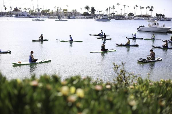 Paddle Into Fitness