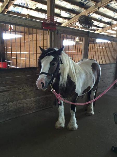 Jacobs Ladder Riding Center