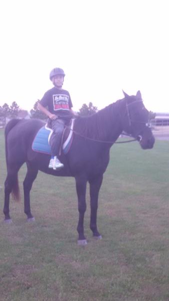 New Oxford Equestrian Center