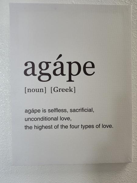 Agape Jiu-Jitsu Academy