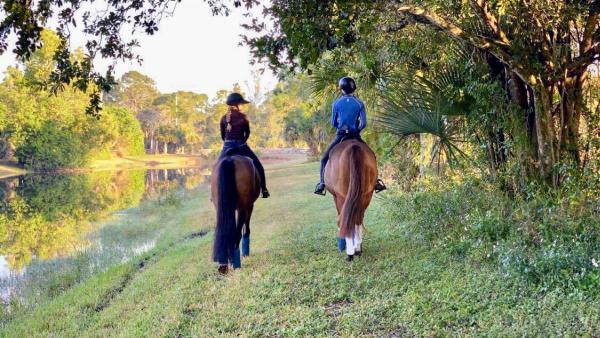 Elizabeth Poulin Dressage LLC