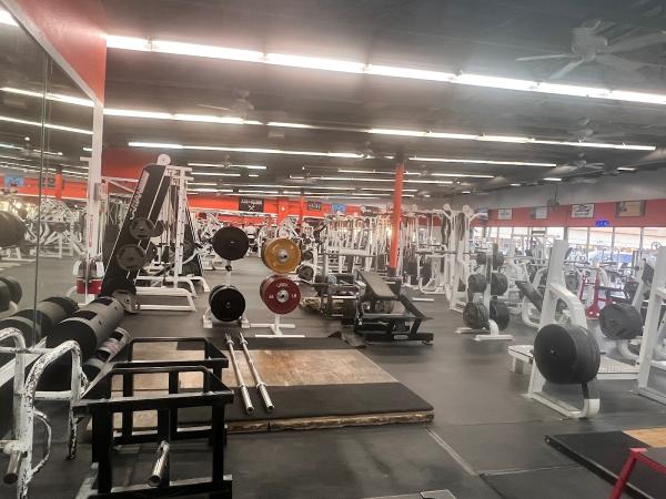 Fitness 1 Gym