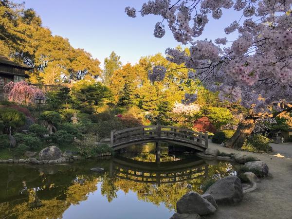 Zazen Meditation (Zazen-Kai) at Hakone Gardens