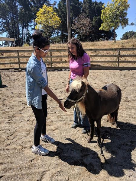 Oakland City Stables