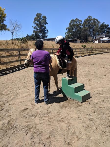 Oakland City Stables