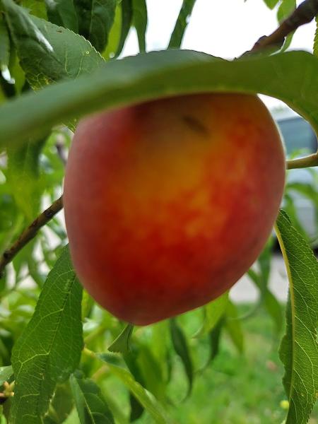 Bruton Driving School