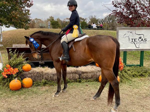 Abingdon Park & Pony Farm